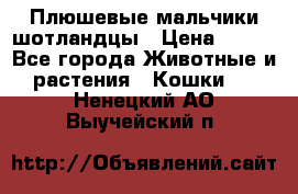 Плюшевые мальчики шотландцы › Цена ­ 500 - Все города Животные и растения » Кошки   . Ненецкий АО,Выучейский п.